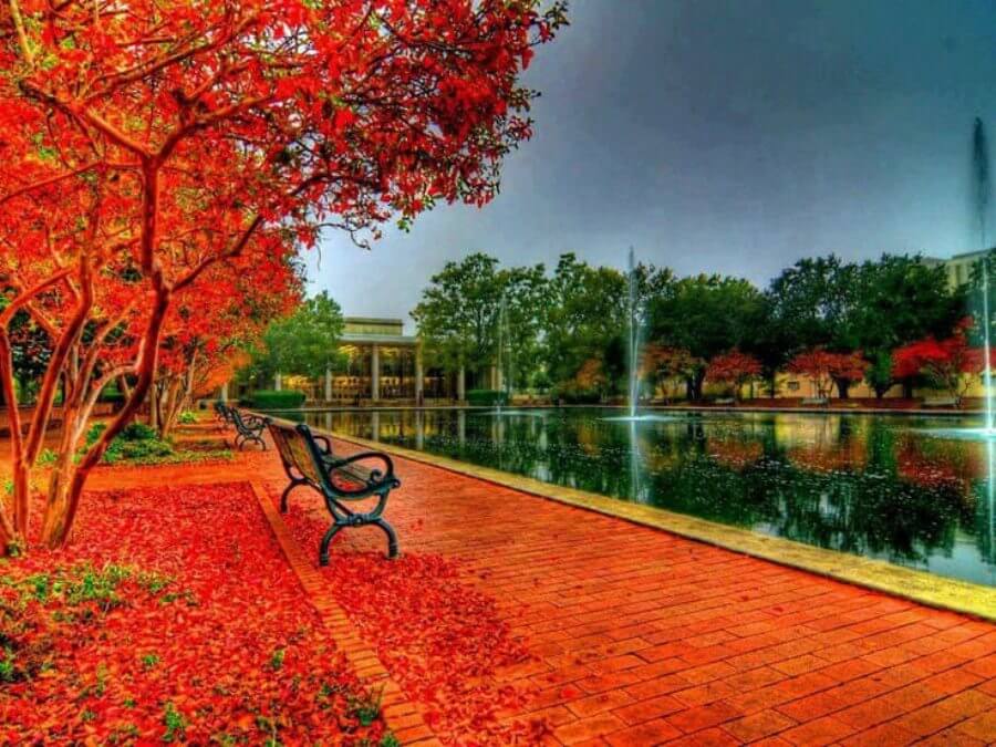 ¿No puedes decidir cuál es la mejor aventura de otoño? Entonces debes de echar un vistazo a estos lugares.